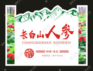 长白山人参