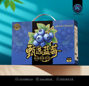 蓝莓包装