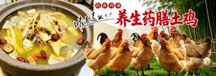药膳鸡煲 