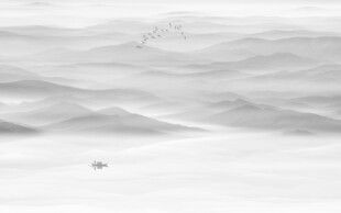 水墨画